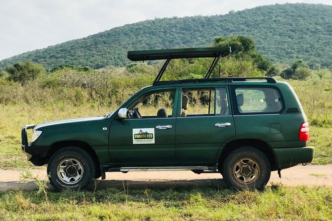 1 Day Akagera Game Drive Safari - The 5:30 am Kigali Pickup: Early, Efficient, and Worth It