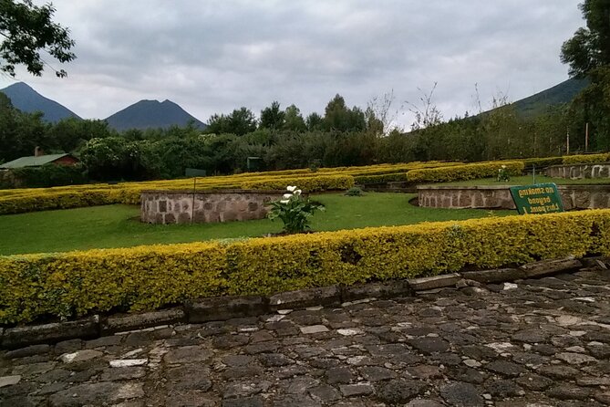 1-Day Bisoke Volcano Hiking Experience - What you get for $570: value is in logistics, permits, and support
