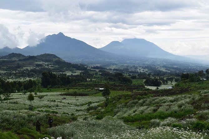 1-Day Bisoke Volcano Hiking Experience - Fitness reality check and who this is best for