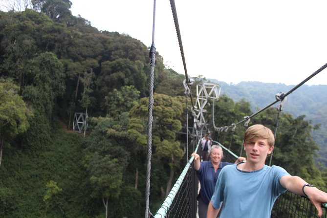 1 Day Canopy walk way in Nyungwe Natioinal park - Quick highlights before you plan your day