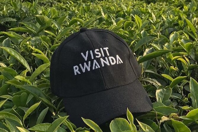 1 Day Canopy walk way in Nyungwe Natioinal park - The early 5am start: getting from Kigali to Nyungwe in one day