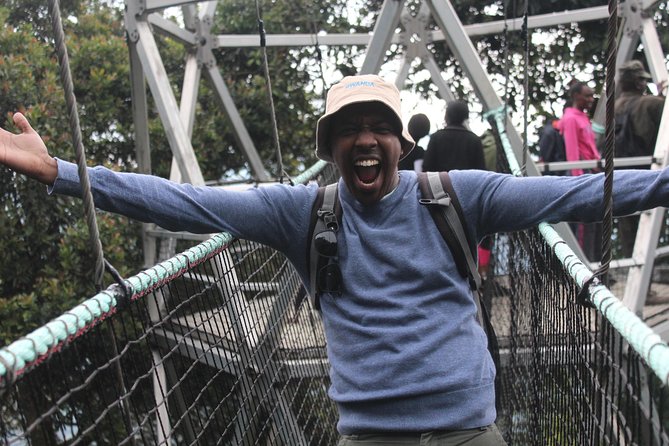 1 Day Canopy walk way in Nyungwe Natioinal park - What you might see from the bridge and along the trails