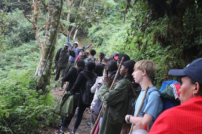 1 Day Canopy walk way in Nyungwe Natioinal park - Price and value: is $522.50 per person fair for a one-day plan?