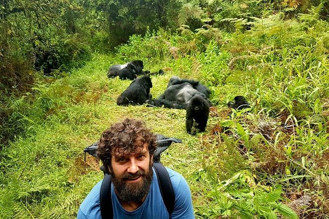 1 Day Gorilla Trekking Uganda - The 4:00am start: what to expect and how to survive it