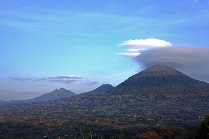 1 Day Gorilla trekking volcanoes national park - Price and Value: How $2,699 Makes Sense for a Private Day