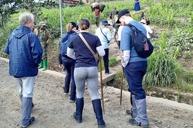 1 Day Rwanda Gorilla Trekking Tour - Key things to know before you go