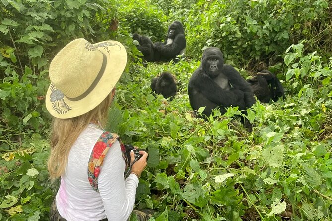 1 Day Rwanda Gorilla Trekking Tour In The Volcanoes National Park - Gorilla Viewing and the Role of Small Group Limits