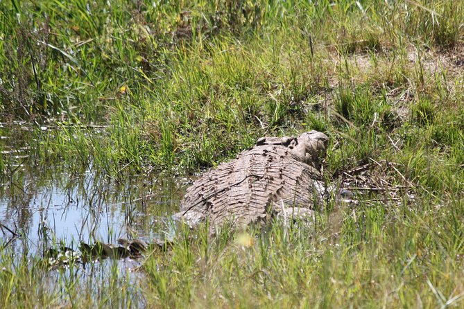 1 Day Safari to Akagera national park-Big5 Safari - Kigali to Akagera: the early start that really shapes your day
