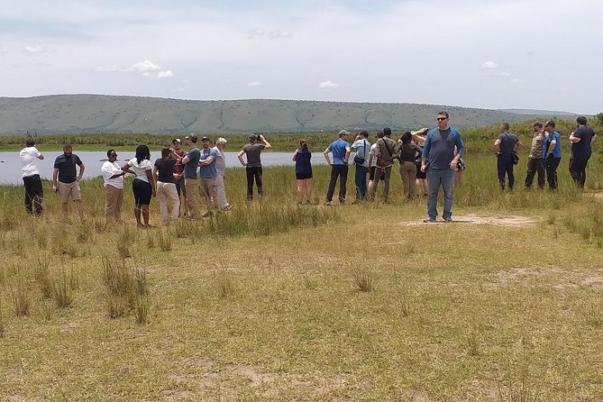 1 Day Safari to Akagera national park-Big5 Safari - Guides make the difference: what the named safari pros are praised for
