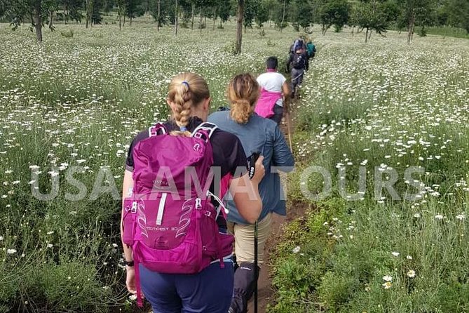 11 Days Rwanda Budgeted Safari - Gorillas & Wildlife Tours - Mount Bisoke Hike in the Virunga Mountains: What You Earn at the Top