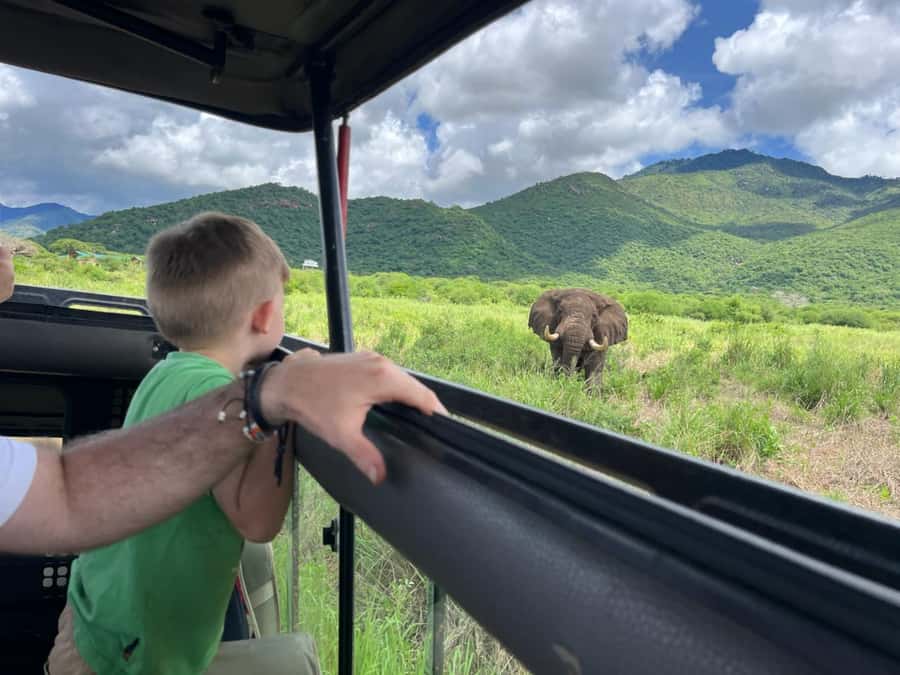 2-Day Akagera Game Drive, Boatride & Safari resort overnight - Key things to know before you go