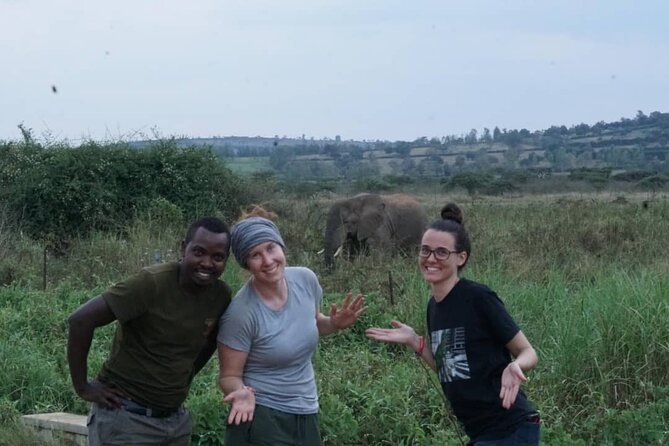 2 Days & 1 Night Akagera National Park Safari Tour - Key things worth knowing before you go