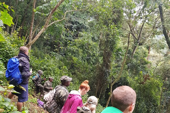 2 Days Chimpanzee trekking & Canopy Walk in Nyungwe National Park - Uwinka Check-In Night: Where You Sleep Changes the Vibe