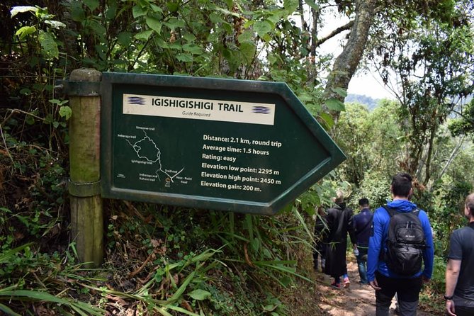 2 Days Chimpanzees trekking Tour and Canopy walk Adventure - Nyungwe plus chimps, why this combo is worth your time