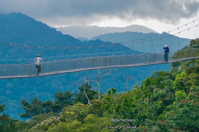 2 Days Chimpanzees trekking Tour and Canopy walk Adventure - Price and logistics: does $1,350 per person make sense