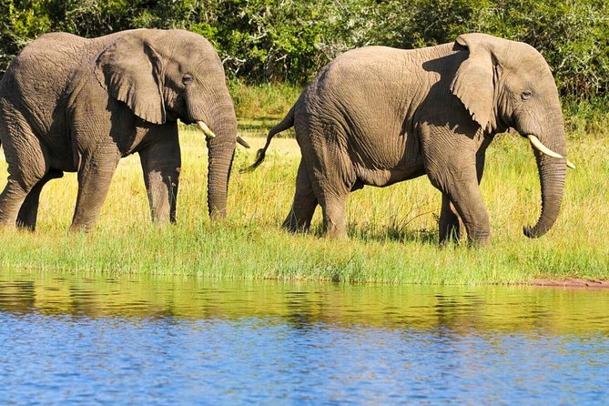 2 Days in Akagera National Park - Key highlights before you go