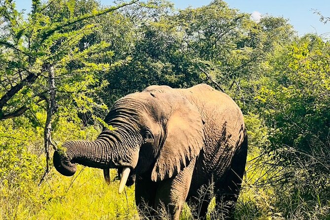 2 Days in Akagera National Park - Night game drive at 5:30 PM, when the park feels different