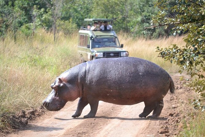 2 Days in Akagera National Park - Starting from Kigali: the drive that sets your day up