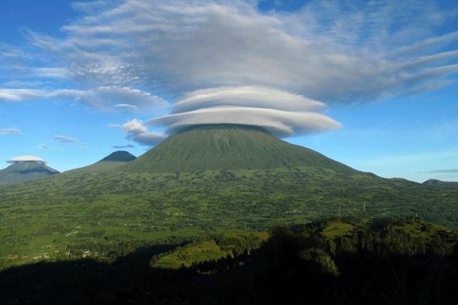 2 Days Mountain Gorilla Safari Rwanda - Getting There and Moving Around: Private Transfers and a Calm Driver