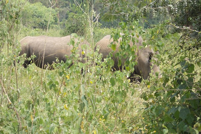 2 Days Murchison Falls Big 5 Savannah wildlife safari - Why this 2-day Murchison Falls Big 5 safari feels like a lot