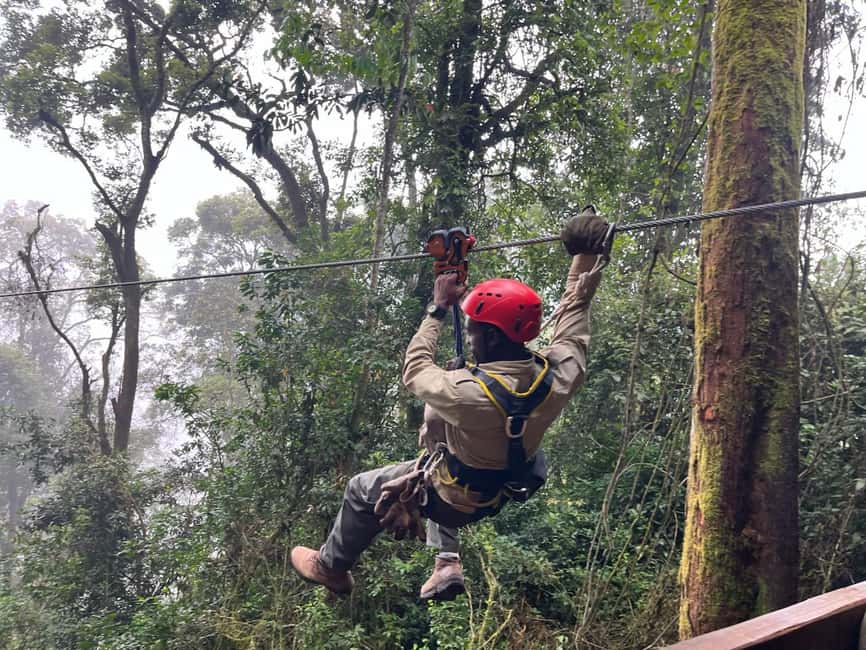 2 Days Nyungwe National Park Tours -Chimp-Canopy-Waterfall - Who This Tour Fits Best (And Who Might Want a Different Style)
