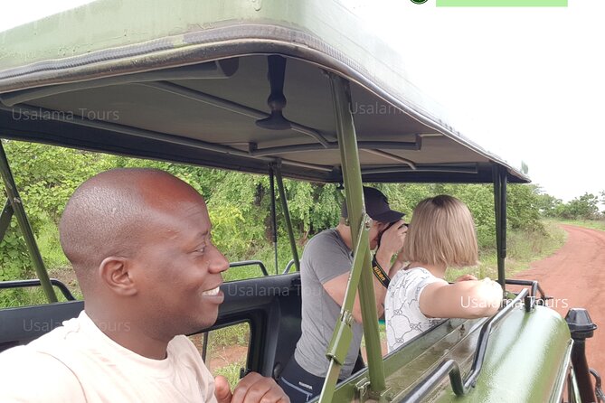 2 days trip_Akagera National Park (Wildlife Safari) - Day 1 Morning Drive, Lunch, and a Sunset Cruise on Lake Ihema