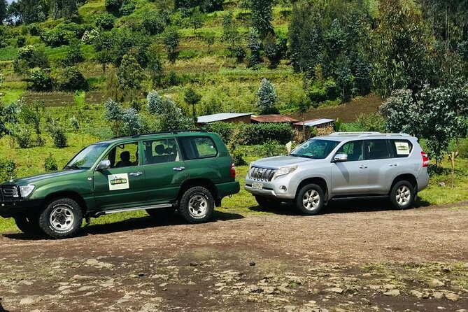 2 days Uganda Gorilla trekking - Meals and lodging built into the short schedule