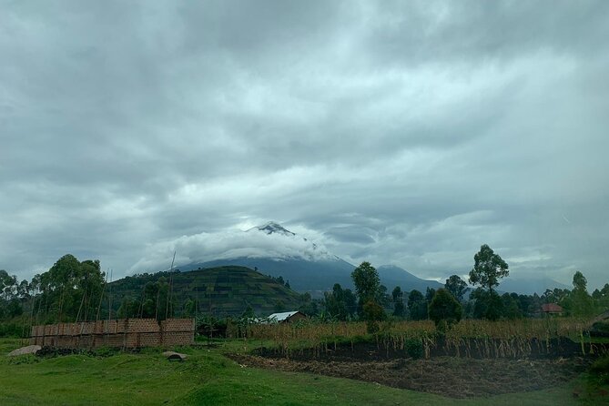 3 Day Gorilla Trek at Bwindi National Park via Kigali - Price and Logistics: Where You’ll Save Time, and Where You Still Need to Plan