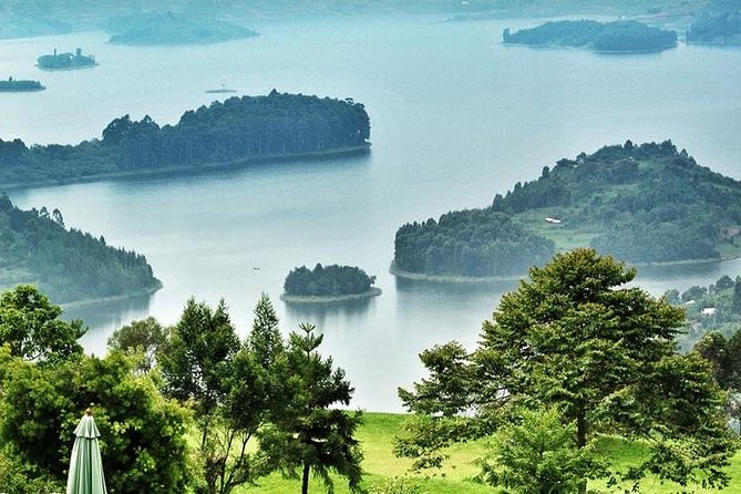 3 Day Rwanda to Uganda gorilla trekking Safari - Day 1 in Bwindi: check-in at your forest lodge and a Batwa cultural trail