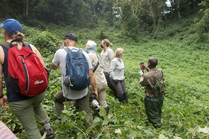3 Day Rwanda to Uganda gorilla trekking Safari - Day 2: the gorilla briefing and the reality of trekking in Bwindi