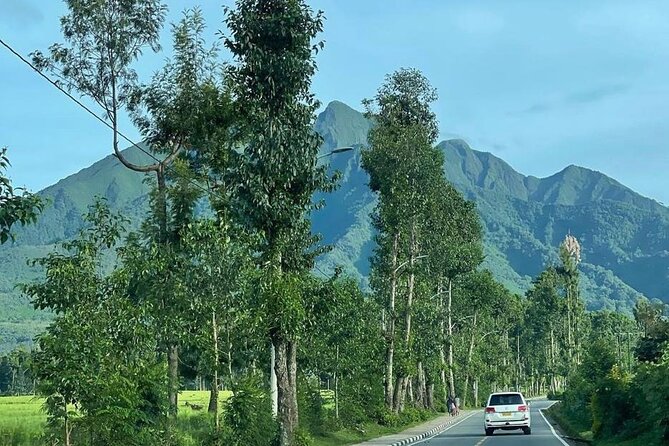 3 Days Gorilla & Golden Monkey Trekking Safaris - Kigali city tour and the transfer day you do not want to skip