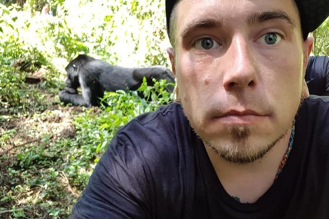 3 Days Uganda Gorilla Trekking Safari - Why Bwindi and Lake Bunyonyi Work So Well in 3 Days