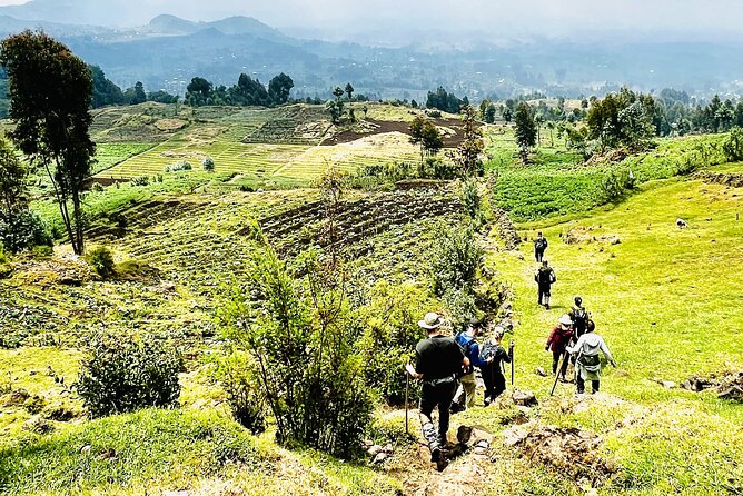 5 Days Akagera and Volcanoes National Park - Gorilla trekking in Volcanoes National Park: ranger briefing to one unforgettable hour