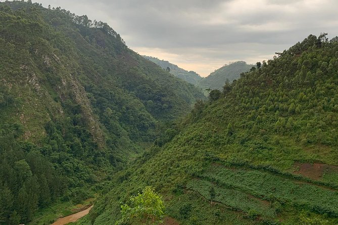 6 Days Rwanda Uganda Budget Wildlife Safari - Gorilla trekking in Bwindi: briefing, group assignment, then the wait