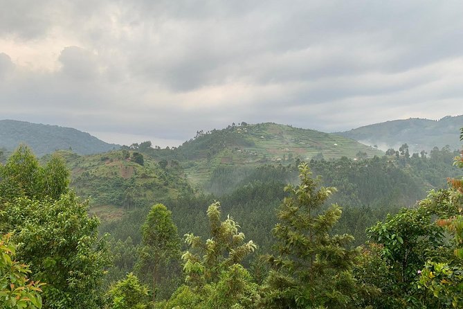 6 Days Rwanda Uganda Budget Wildlife Safari - Kazinga Channel boat cruise: wildlife and birds in a calmer setting