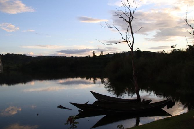 8 Day Gorilla Trek, Wildlife Safari and Chimp Habituation Experience - Day 8 wrap-up: drive to Kampala or Entebbe airport