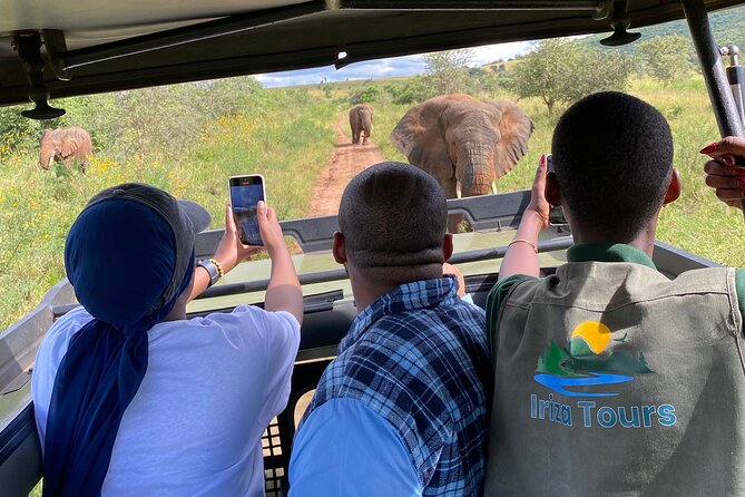 Akagera National Park 1 day Safari Experience - Key things I’d watch before booking