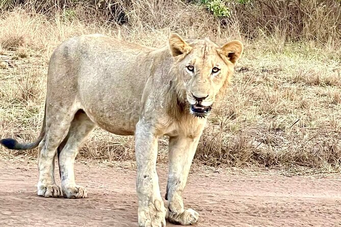Akagera National Park 1 day Safari Experience - The 5:00 am start that actually helps your chances