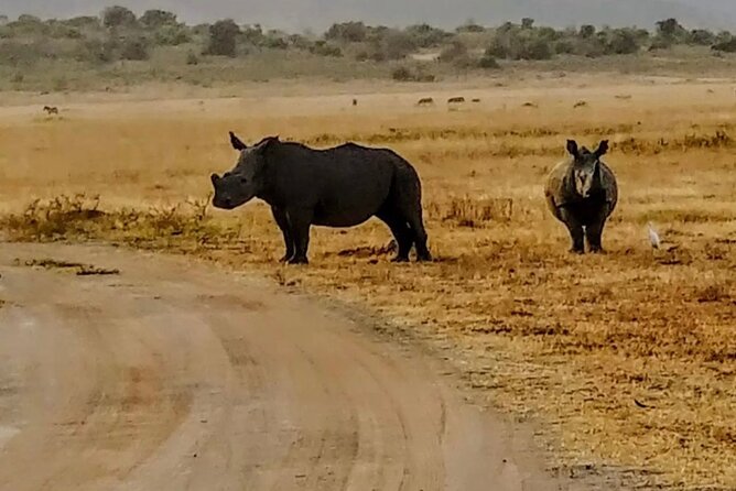 Akagera National Park 1 day Safari Experience - Morning game drive in 4WD: how the first 3 hours set the tone