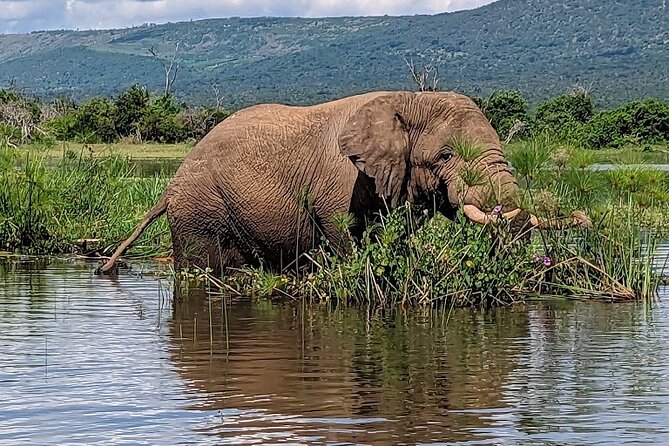 Akagera National Park Guided Day Pass - The 5:30 am Start and a Long 13-Hour Safari Day