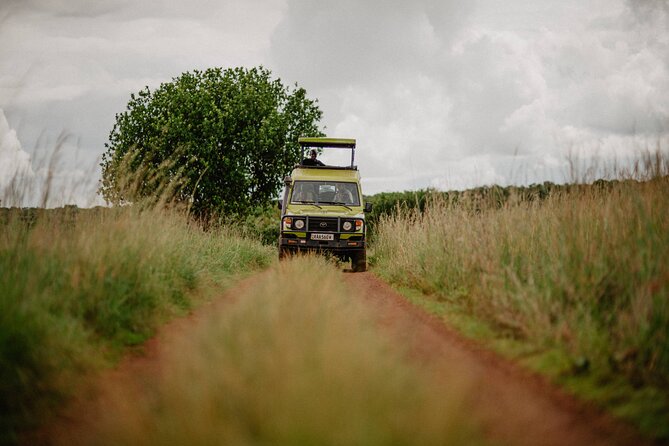 Big 5 Safari Day Trip - Should You Book the Big 5 Safari Day Trip With Go Further?