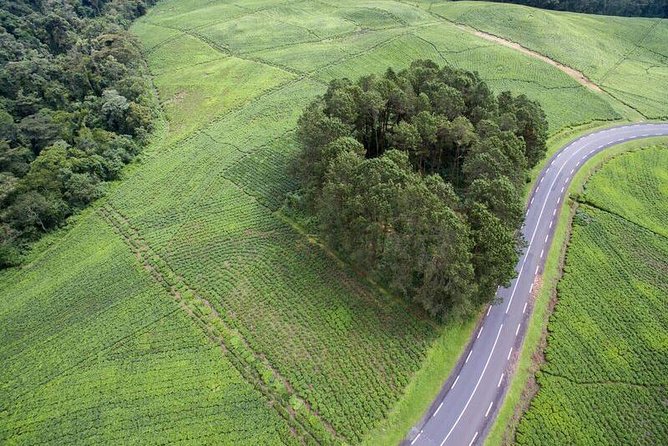 Discover the Beauty of Rwanda in 12Days - Nyanza Historical Sites and Community-Based Tourism With Real People at the Center