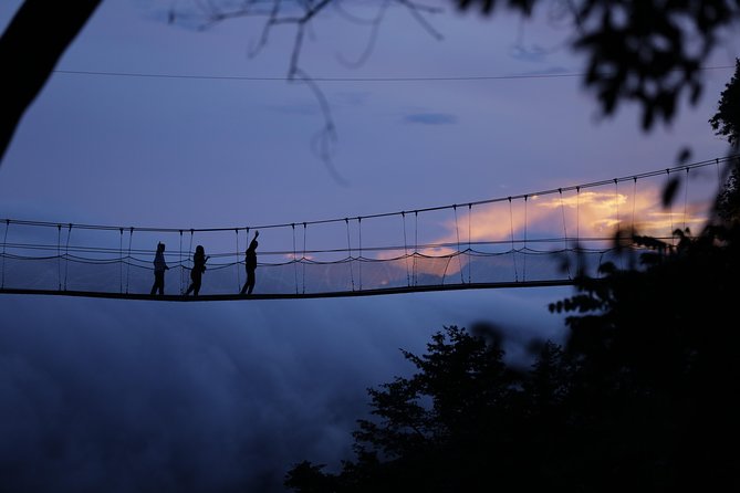 Discover the Beauty of Rwanda in 12Days - Volcanoes National Park Gorilla Encounter and the Cultural Welcome That Sets the Tone