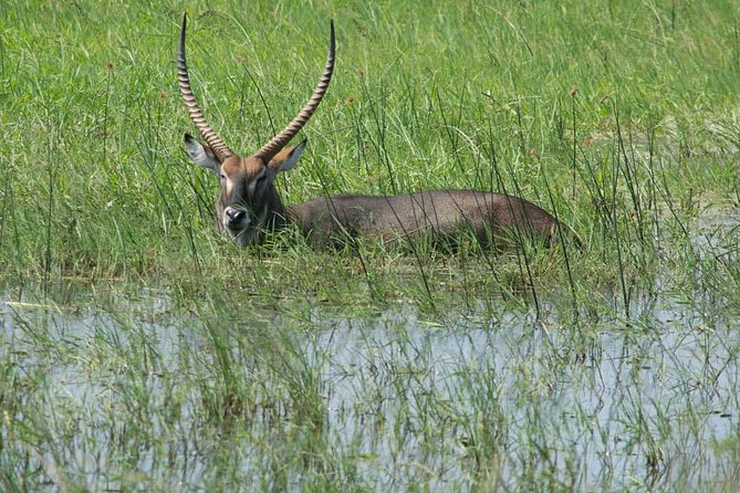 From Kigali: 12 Hour Custom Day trip for game Drive in Akagera NP - Kigali pickup, the 5 am start, and what comfort really means in a 4x4