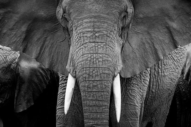 From Kigali: 12 Hour Custom Day trip for game Drive in Akagera NP - Lunch, water, and the small practicals that keep a long day from draining you