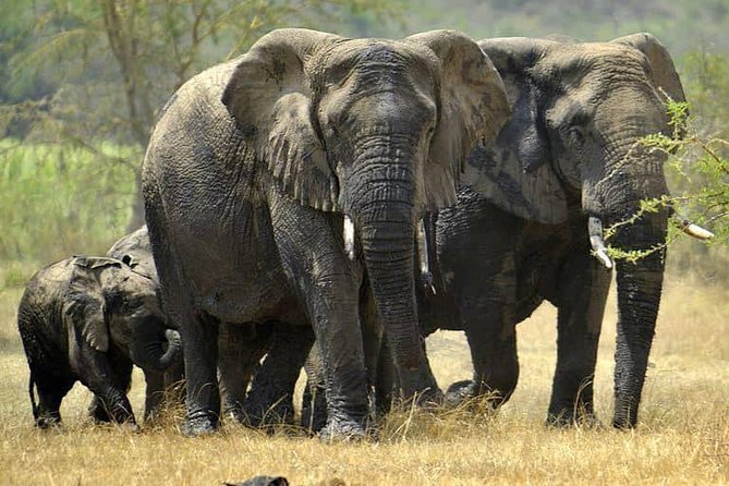 From Kigali: 12 Hour Custom Day trip for game Drive in Akagera NP - Driving into Akagera, what the savannah day feels like
