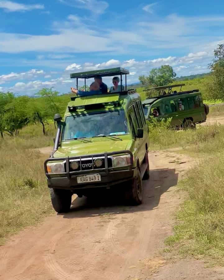 From Kigali: Akagera National Park Safari game drive - Kigali to Akagera National Park, the day trip that feels like a real reset