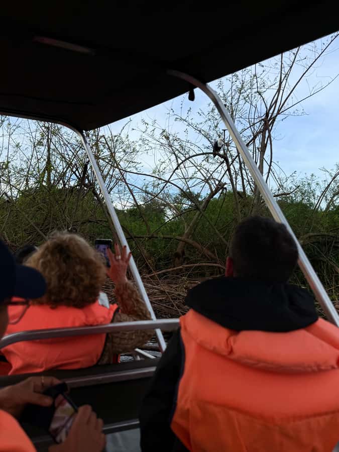From Kigali: Akagera National Park Safari game drive - Thematic tracking and “Big Cat Moment,” how the afternoon changes pace