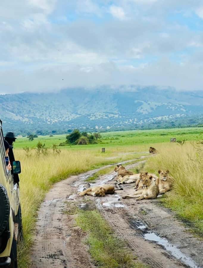 From Kigali: Akagera National Park Safari game drive - Sunset sundowner with snacks and sparkling water