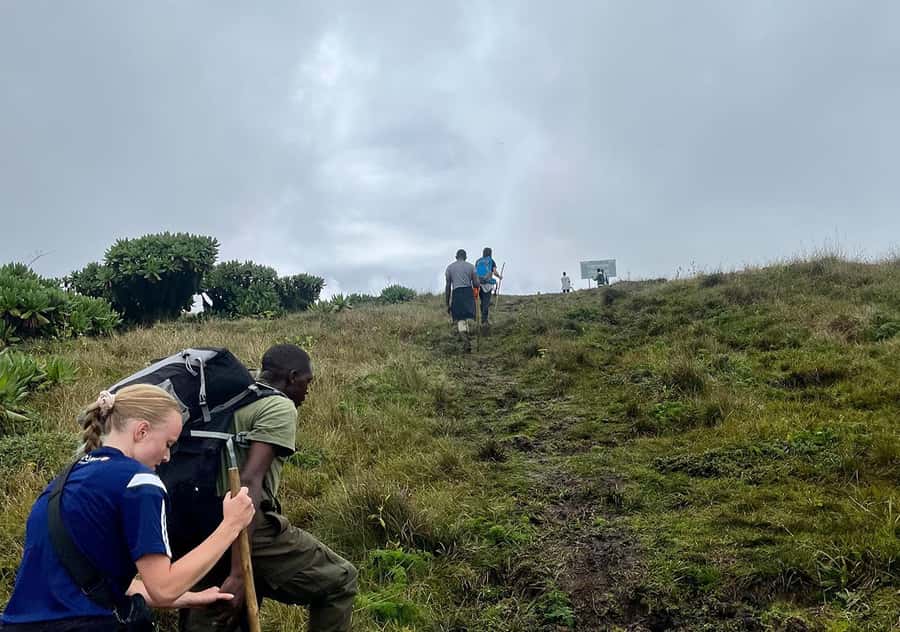 From Kigali: Bisoke Summit Trek, Crater Lake 1 Day Safari - Summit Time and Picnic Lunch at the Crater Lake